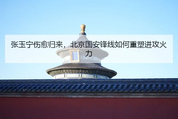 zhang-yu-ning-shang-yu-gui-lai-bei-jing-guo-an-feng-xian-ru-he-zhong-su-jin-gong-huo-li-2-298.jpg
