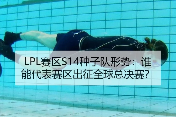 sai-qu-zhong-zi-dui-xing-shi-shui-neng-dai-biao-sai-qu-chu-zheng-quan-qiu-zong-jue-sai-3-376.jpg