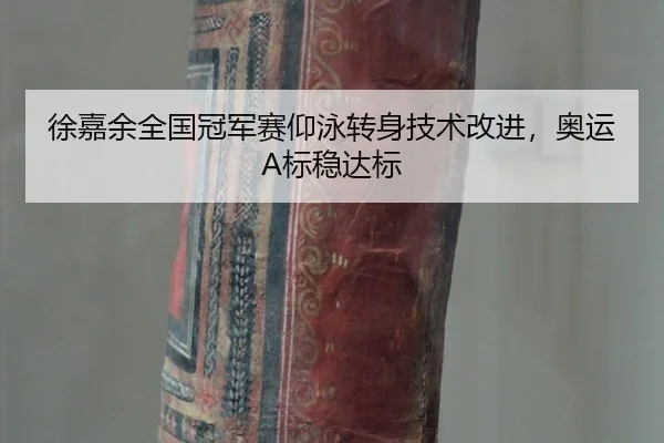 xu-jia-yu-quan-guo-guan-jun-sai-yang-yong-zhuan-shen-ji-shu-gai-jin-ao-yun-biao-wen-da-biao-2-274.jpg